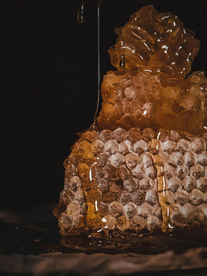 Raw honey and Processed honey- Are they the same?